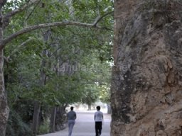 Ciudad de Caravaca 2012